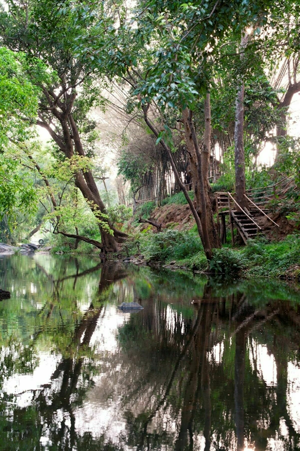 Amanvana Spa Resort, Coorg Кушалнаґар Екстер'єр фото
